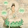 不错我是释家的无垢
