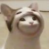 猫迷me