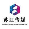 苏江传媒—灰子