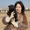 湖北遇见它犬业