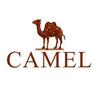 西昌骆驼户外CAMEL（九重天商业街店）
