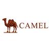 CAMEL骆驼女鞋旗舰店
