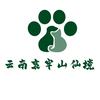 云南哀牢山仙境
