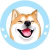 小柴游戏🎮