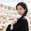 如意（生活即修行）