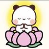 陈迟选手