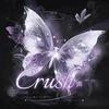 Crush·声