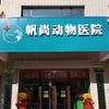 马医高洋