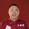 元银甲