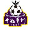 宁冠青训