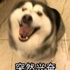 小狐狸啦啦啦