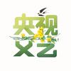 央视文艺