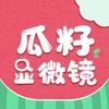 瓜籽显微镜