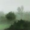 树-