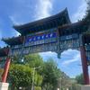 小马教练