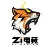 ZI电竞（无畏契约）