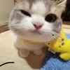 猴子大王187