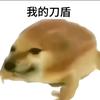 南宁宠物发布（可寄养）