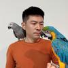 磊子鹦鹉