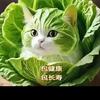 天天顺哥