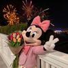 春天卉来FLORA
