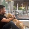 金圣拉布拉多kennel