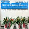 深圳耐斯康网络技术数通金牌、行业金牌