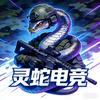 灵蛇电竞