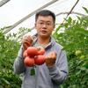 种业人铁柱
