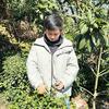 东山小陈