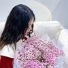 李李new