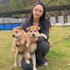 元姐（广西田园犬）