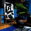 青岛宏炎纹身