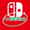 NS探索指北