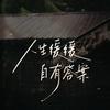 永夜拾荒者