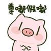 猪猪漫画解说