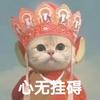 跳舞的青葱