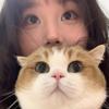 猪猪饼