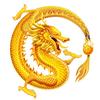金焱龙