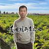 卖紫藤的李二八