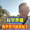 李总说猪事