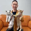 老齐讲猫粮