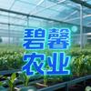 碧馨农业科技