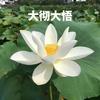 薄冰哥（如履薄冰）