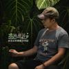 水陆雨林