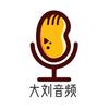 大刘音频