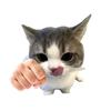小猫球