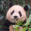 滚滚