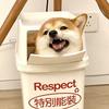 彩虹兔兔