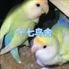 十七鸟舍（安徽天柱山）